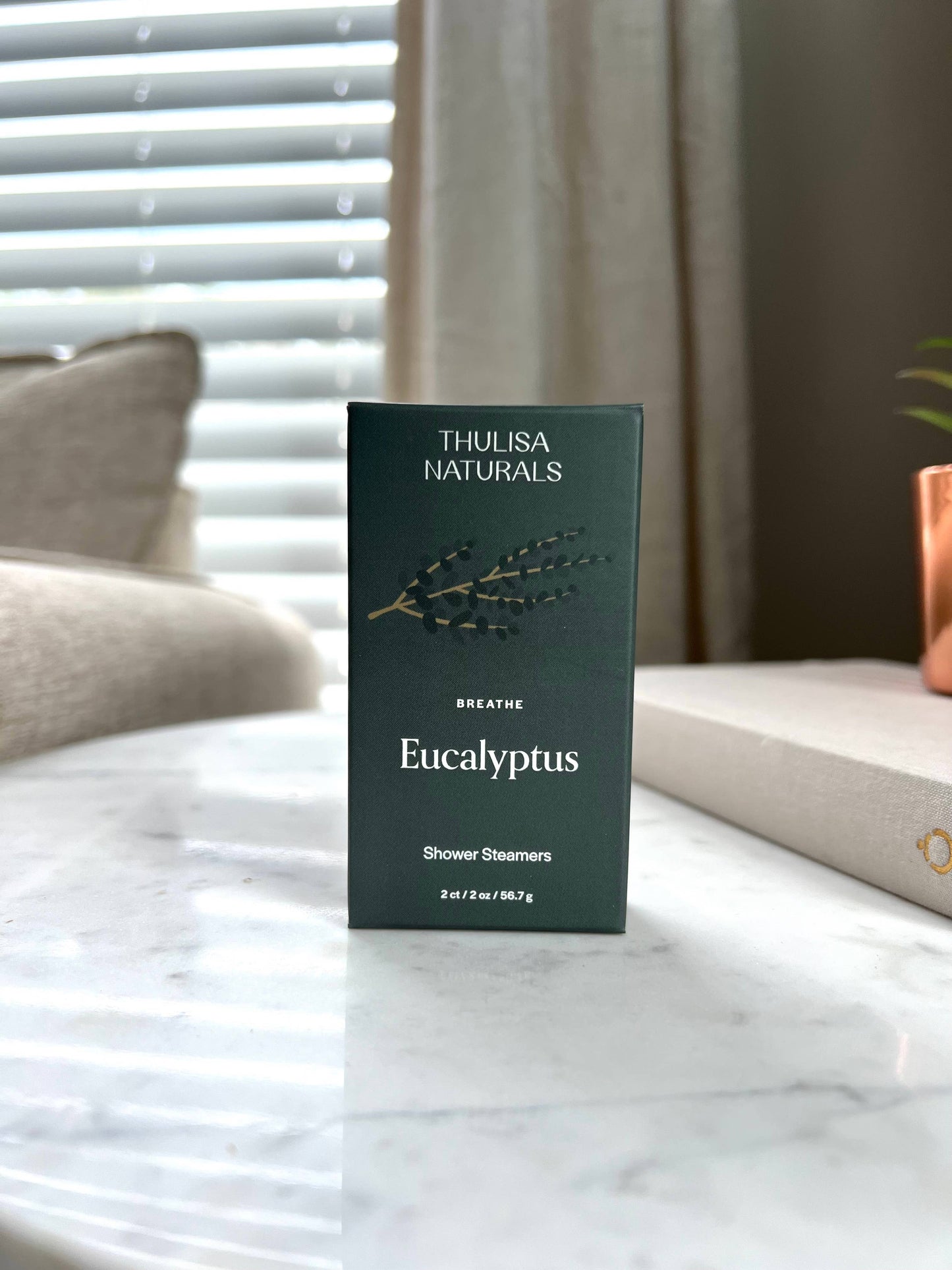 Shower steamers | Eucalyptus | 2 pack