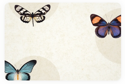 Butterfly Card Blank
